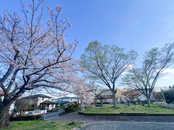 横浜市栄区野七里２丁目　新築一戸建て(野七里第三公園)