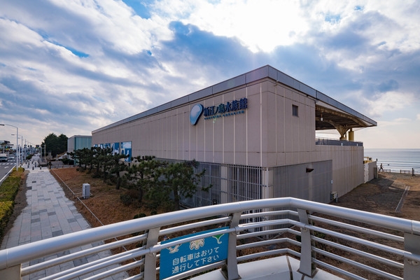 クリオ湘南江ノ島グランマーレ(新江ノ島水族館)