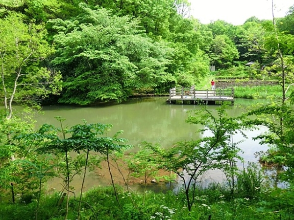 シーズンプレイスＡ棟(茅ケ崎公園)
