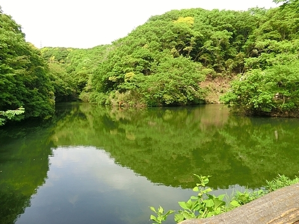 鎌倉市十二所　新築一戸建て(久木大池公園)