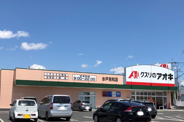 水戸市河和田町の土地(クスリのアオキ水戸見和店)