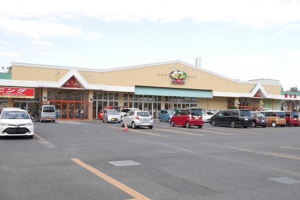 ひたちなか市大字堀口の土地(サンユーストアー堀口店)