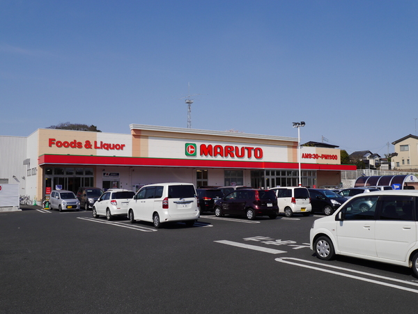 サーパス水戸駅南平和公園(マルト元吉田店)