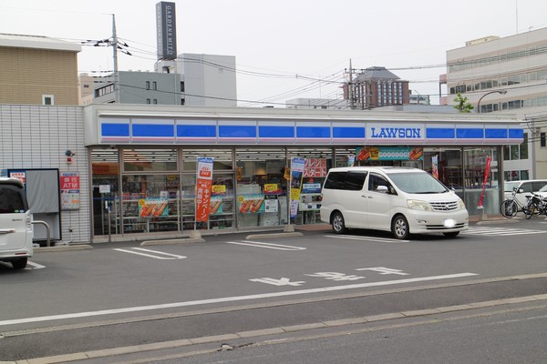 サーパス水戸駅南平和公園(ローソン水戸城南二丁目店)