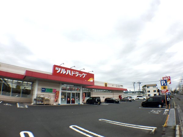 サーパス水戸駅南平和公園(ツルハドラッグ水戸元吉田店)