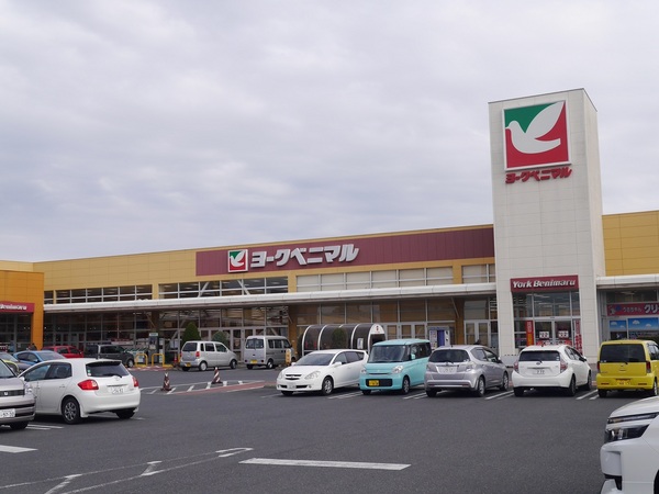 水戸市赤塚1丁目の土地(ヨークベニマル赤塚店)