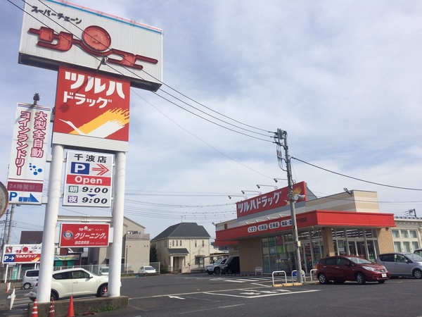 水戸市千波町の土地(ツルハドラッグ水戸千波西店)