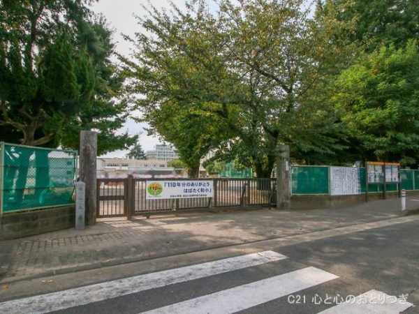 大和市下鶴間 新築戸建(大和市立大和小学校)