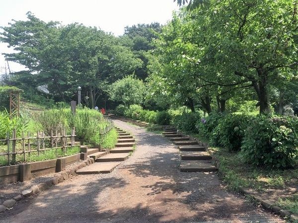 大和市上草柳6丁目の中古一戸建て(ふれあいの森)