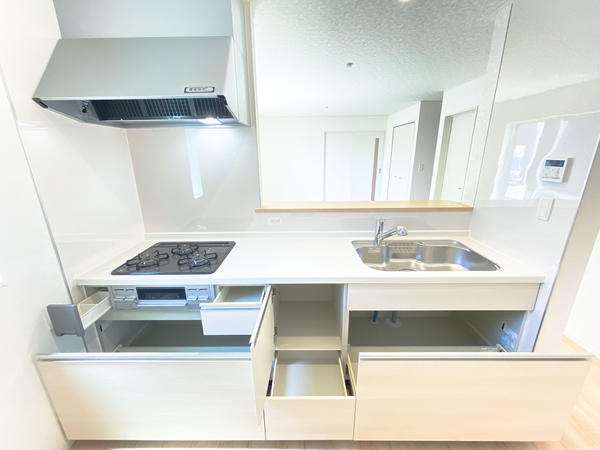 厚木市金田　新築戸建　全9棟　3号棟