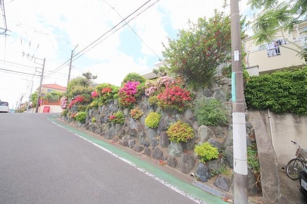 座間市立野台３丁目の土地