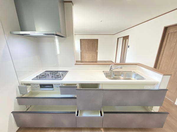 綾瀬市深谷中6丁目 新築戸建 全5棟 D号棟(キッチン)