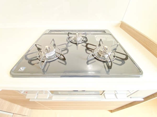 大和市草柳1丁目　新築戸建　全2棟　1号棟