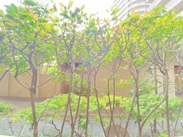 エスタテラ湘南台マウンテンビュー