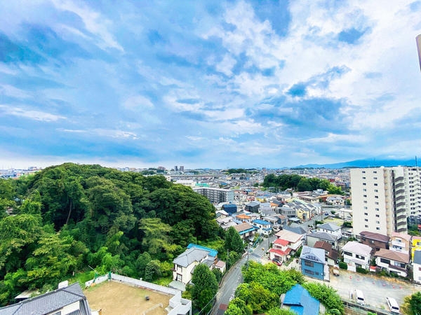 コスモさがみ野