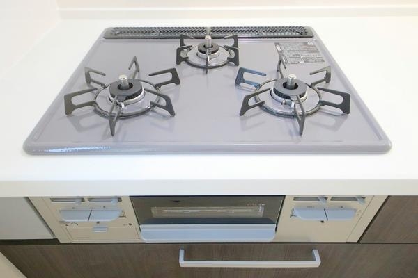 座間市緑ヶ丘5丁目　新築分譲住宅　2号棟