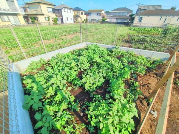 横浜市瀬谷区相沢5丁目　新築戸建　全4棟　D号棟