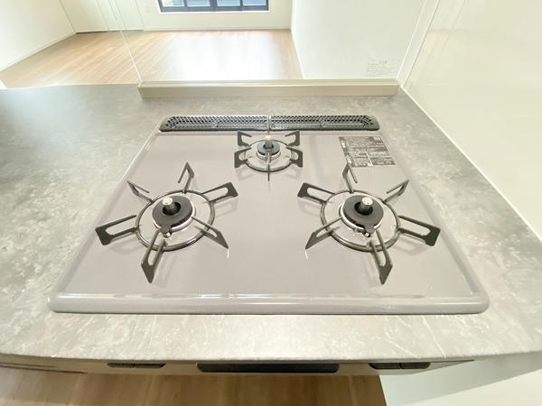 大和市鶴間1丁目　新築戸建　2号棟