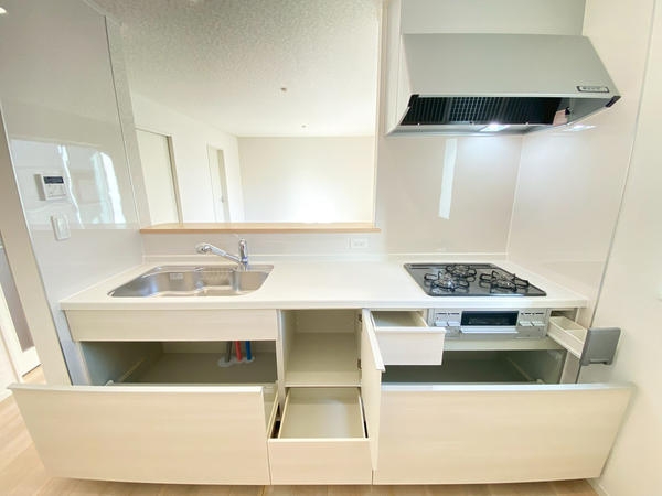 海老名市国分寺台2丁目　新築戸建　全2棟　1号棟