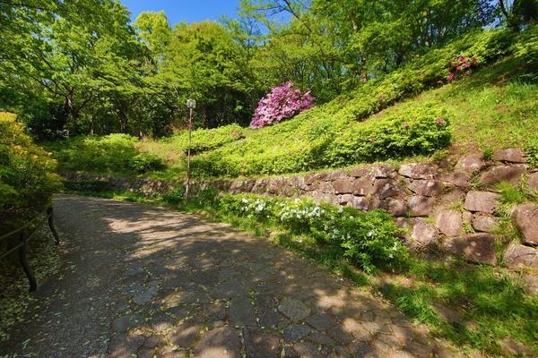湘南スカイハイツ　1　4号棟(大庭城址公園)