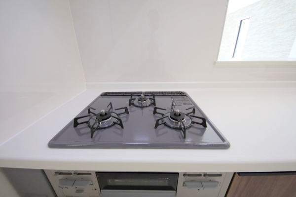 綾瀬市寺尾本町1丁目2期　新築分譲住宅　1号棟