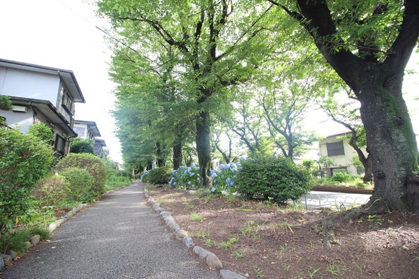 綾瀬市早川の土地(綾西緑地)