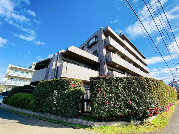 ライオンズガーデン相模大野