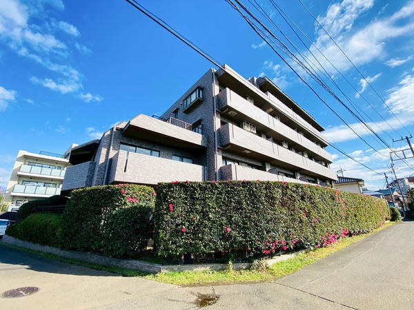 ライオンズガーデン相模大野