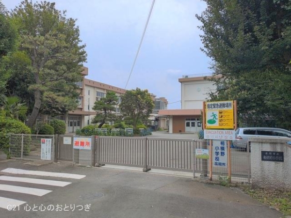 座間市相模が丘６丁目の土地(座間市立相模野小学校)
