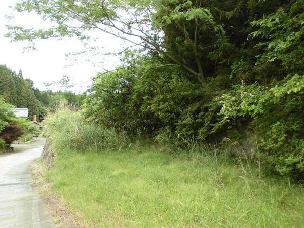 朝倉郡東峰村大字小石原の土地