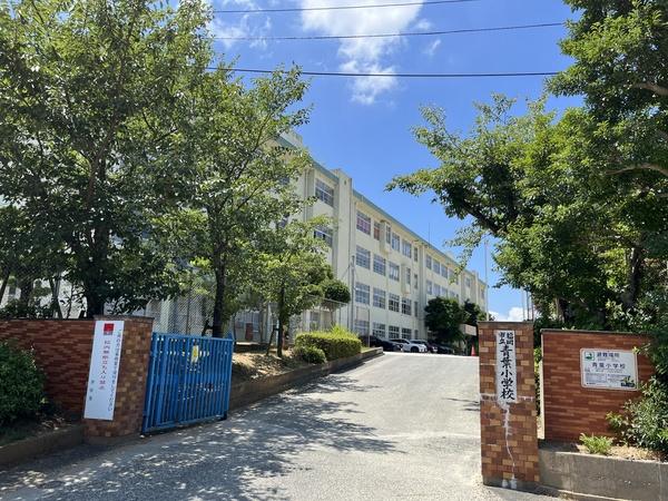 福岡市東区青葉７丁目の新築一戸建(福岡市立青葉小学校)