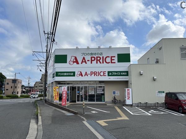 ヴェルデヒルズ名島河畔公園Ｆ棟(A－プライス松崎店)