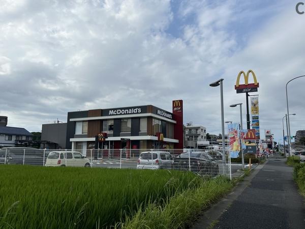 ヴェルデヒルズ名島河畔公園Ｆ棟(マクドナルド3号線松崎店)