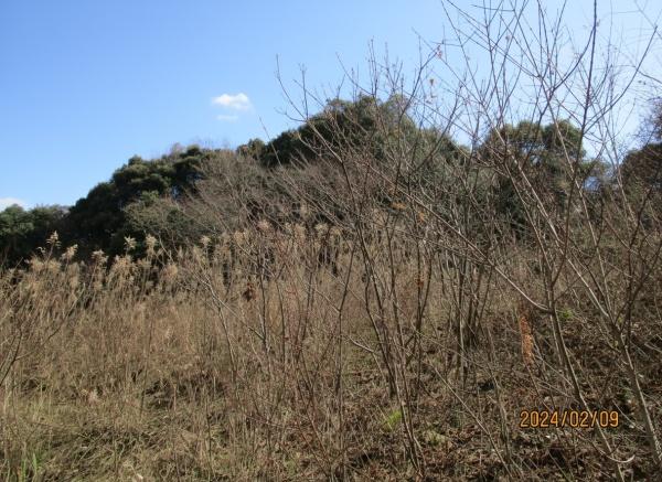 福岡市早良区大字重留の土地
