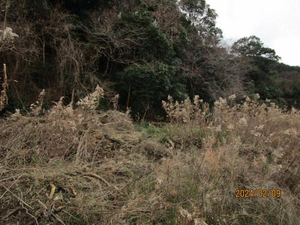 福岡市早良区大字重留の土地