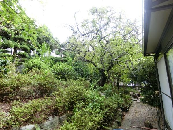 平和1丁目土地