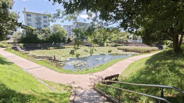 福岡市南区平和１丁目の土地(平尾新池)