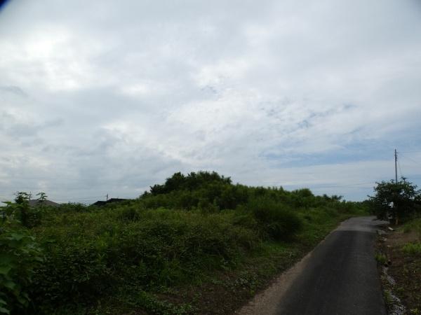 速見郡日出町大字川崎の土地