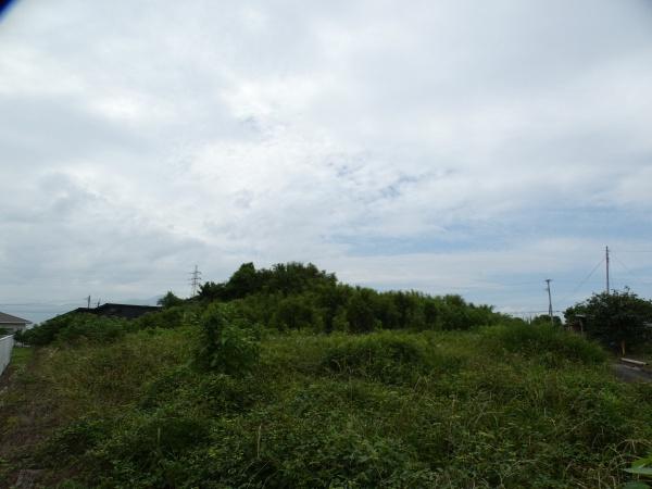 速見郡日出町大字川崎の土地