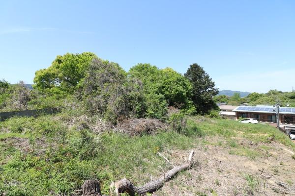 潤野　建築条件無し605坪土地