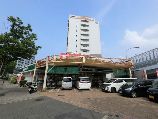老司エクセル１５(ダイキョーバリュー野多目店)