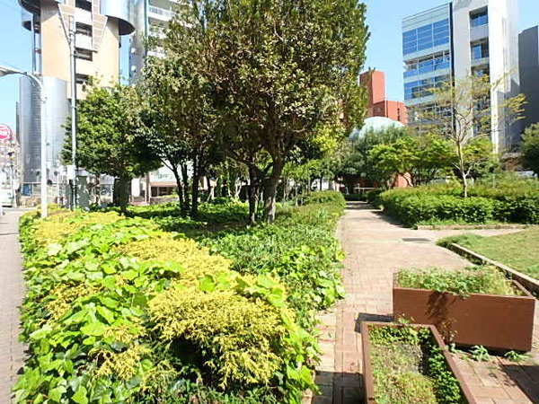 赤坂パインマンション(長浜公園)