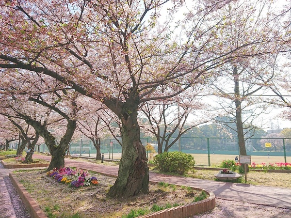 シティライフ博多駅南(山王公園野球場)