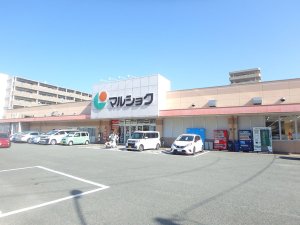 ダイナコート吉塚(マルショク吉塚駅東店)
