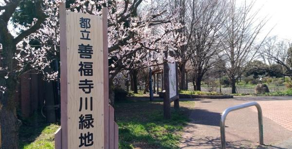 ライオンズガーデン浜田山(善福寺川緑地)