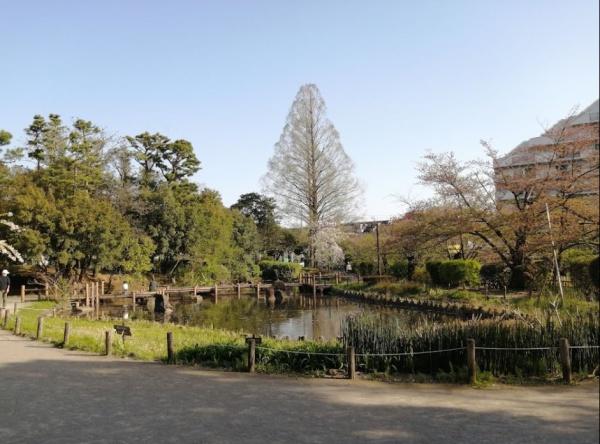 中野区松が丘１丁目の新築一戸建(哲学堂公園)