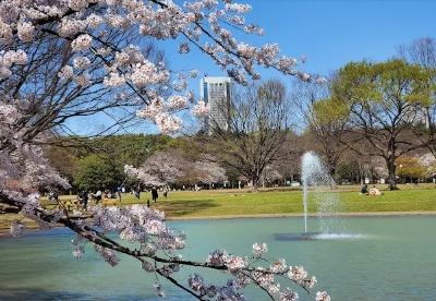 サンクタス代々木ヒルズ(東京都立代々木公園)