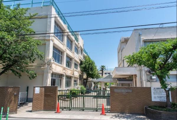 世田谷区玉川台2丁目の土地(世田谷区立瀬田小学校)