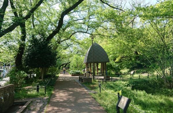 ザ・パークハウス上北沢(区立三井の森公園)