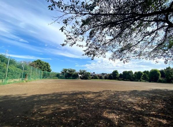 レヴィールつつじヶ丘(柴崎公園)